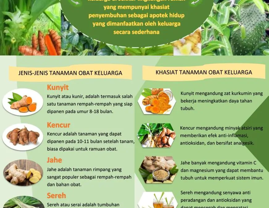 Mengenal
